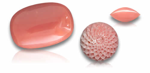 Comprar coral rosa Pedras Preciosas